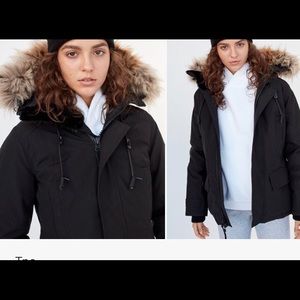 Aritzia Larson Parka